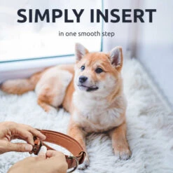 Olixar Genuine Leather Apple AirTags Dog Collar - Large - Brown -OtterBox Store b 252