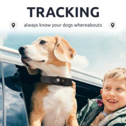 Olixar Genuine Leather Apple AirTags Dog Collar - Medium - Black -OtterBox Store d 181