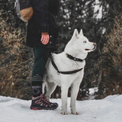 Olixar Genuine Leather Apple AirTags Dog Collar - Large - Black -OtterBox Store e 166